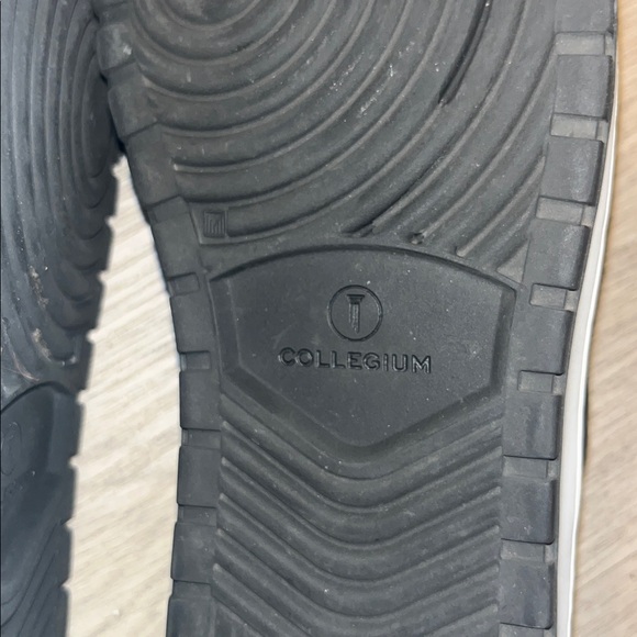 Collegium - Picture 7 of 12